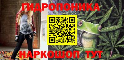стафф Гусев