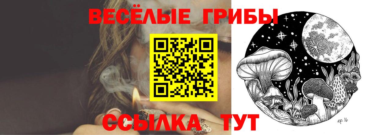 Галлюциногенные грибы GOLDEN TEACHER  Псилоцибиновые грибы ЛСД  Донской  Вход с VPN 