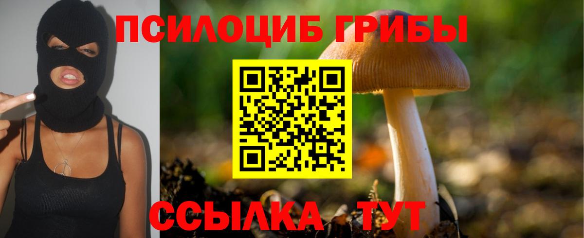 Галлюциногенные грибы мицелий Донской